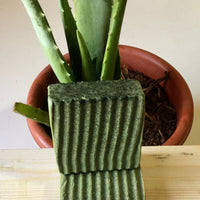 Aloe Vera Soap Bar
