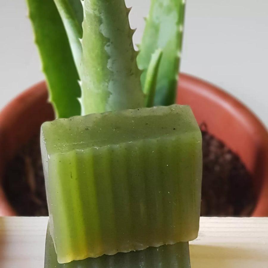 Tea Tree Soap Bar